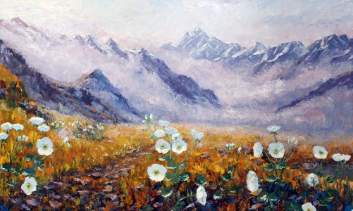 1. Mount Cook Lillies, Mount Cook