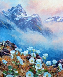 Z Routeburn Lillies, New Zealand Ranunculus lyallii or Mountain Buttercup