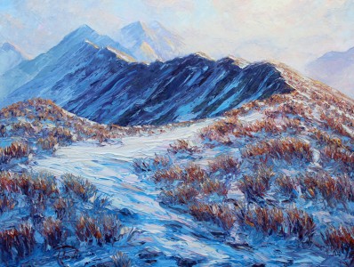 Z Snowy Tussock, Tararuas