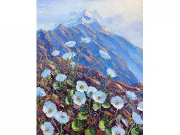 Z Spring in the Mountains