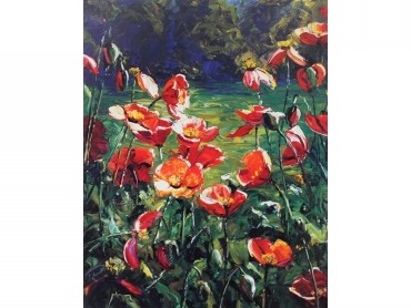 Wild Poppies
