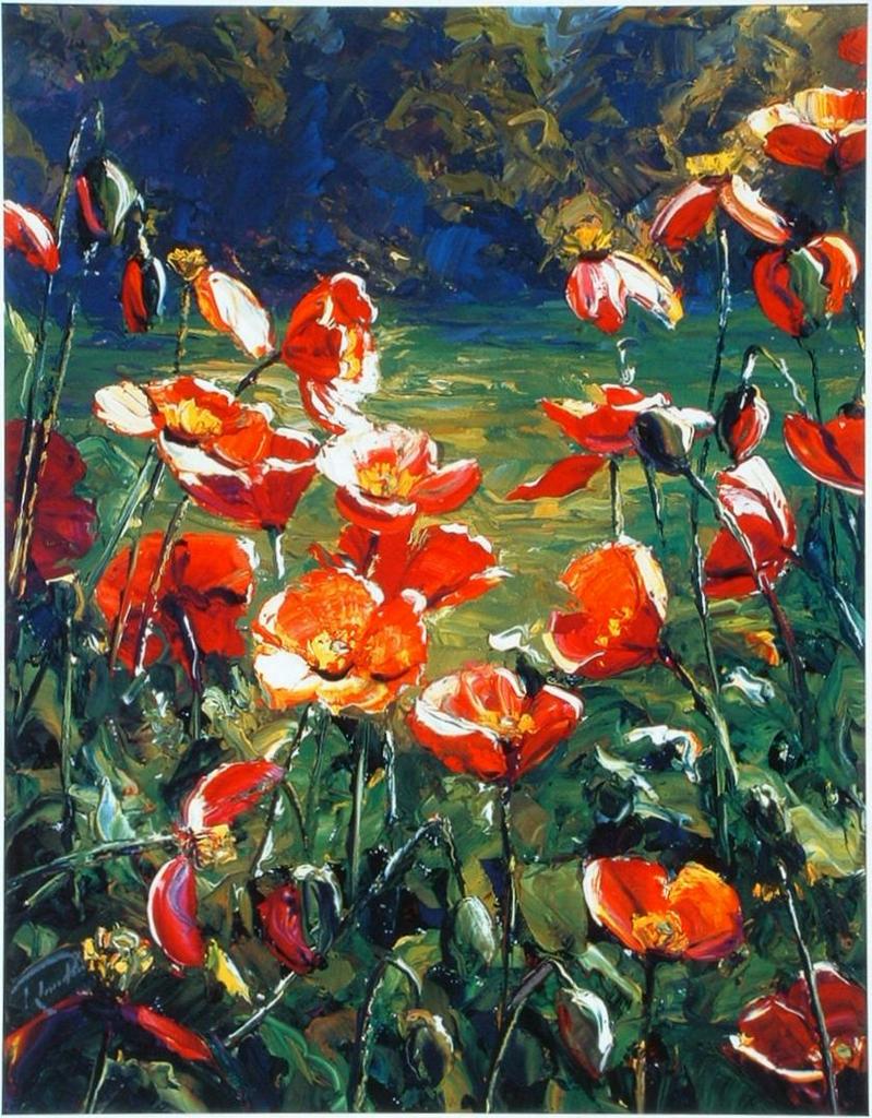 Evening Poppies Richard Ponder